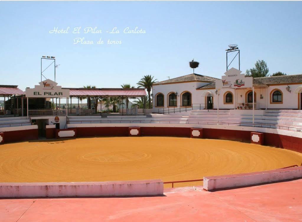מלון לה קרלוטה El Pilar מראה חיצוני תמונה